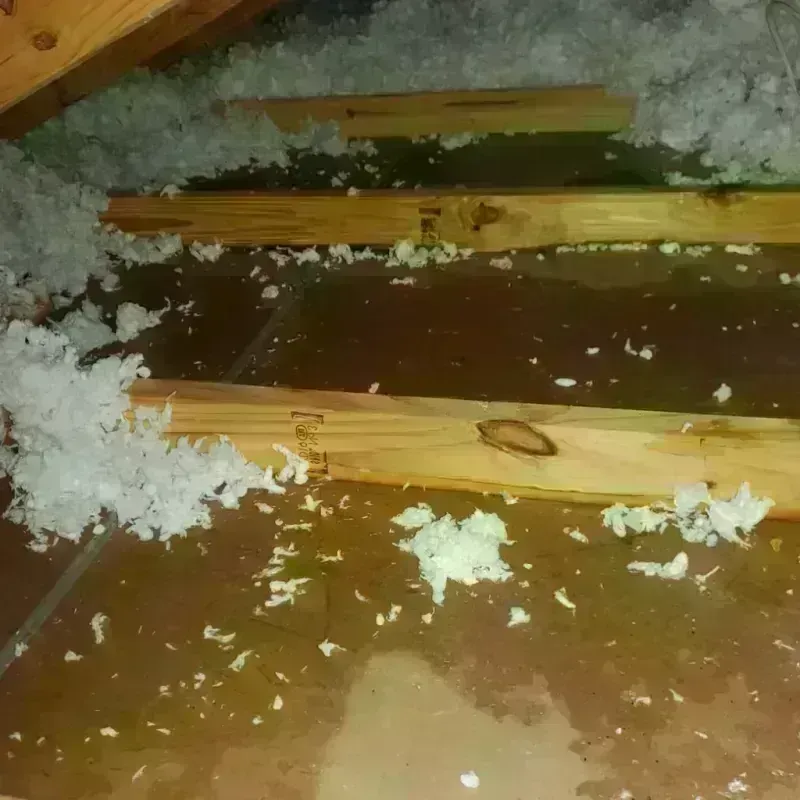 Attic Water Damage in Mount Holly, VT